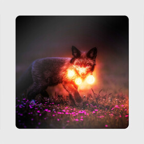 Магнит виниловый Квадрат с принтом Лисица с фонариками в Тюмени, полимерный материал с магнитным слоем | размер 9*9 см, закругленные углы | fox | foxy | животное | звери | лиса | лисенок | лисичка | милая | рыжая | фокс