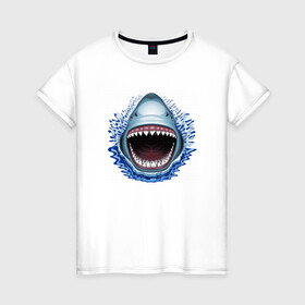 Женская футболка хлопок с принтом АКУЛА ЧЕЛЮСТИ в Тюмени, 100% хлопок | прямой крой, круглый вырез горловины, длина до линии бедер, слегка спущенное плечо | fish | jaws | megalodon | shark | teeth | white shark | акула | белая акула | зубы | клыки | мегалодон | пасть | рот | рыба | челюсти