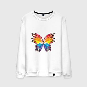 Мужской свитшот хлопок с принтом бабочка краской в Тюмени, 100% хлопок |  | бабочка | беспозвоночные | брызги | градиент | краска | красочная | крылья | лето | мотыльки и бабочки | насекомое | насекомые | радуга | ярко
