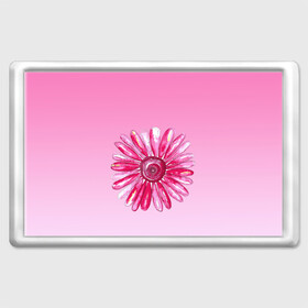 Магнит 45*70 с принтом розовая ромашка в Тюмени, Пластик | Размер: 78*52 мм; Размер печати: 70*45 | акварель | арт | весна | гортензия | лето | природа | рисунок | розовый | ромашка | свежесть | цветок | цветы | яркий | ярко