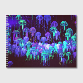 Альбом для рисования с принтом Неоновые медузы в Тюмени, 100% бумага
 | матовая бумага, плотность 200 мг. | вода | животные | медузы | неон | неоновые