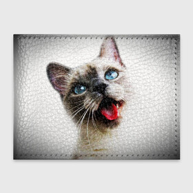 Обложка для студенческого билета с принтом Котик в Тюмени, натуральная кожа | Размер: 11*8 см; Печать на всей внешней стороне | cat | животные | кот | котенок | кошка | смешной | смешной кот