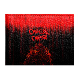 Обложка для студенческого билета с принтом CANNIBAL CORPSE в Тюмени, натуральная кожа | Размер: 11*8 см; Печать на всей внешней стороне | blood | cannibal corpse | death metal | grunge | hardcore | music | punk | rock | usa | группа | канибал | кровь | метал | музыка | рок | сша | труп