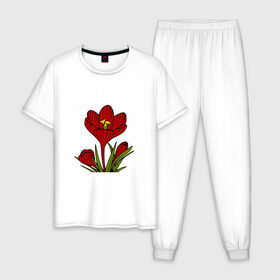 Мужская пижама хлопок с принтом Красные тюльпаны в Тюмени, 100% хлопок | брюки и футболка прямого кроя, без карманов, на брюках мягкая резинка на поясе и по низу штанин
 | Тематика изображения на принте: картинки | лето | листья | популярные | прикольные | природа | тренды | тюльпаны | цветы