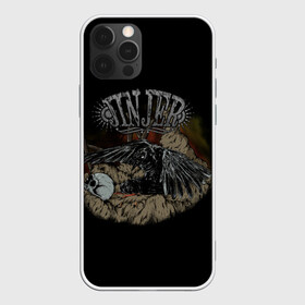 Чехол для iPhone 12 Pro Max с принтом Jinjer metal band в Тюмени, Силикон |  | jinjer | meialcore | metal | rock | ворон | метал | рок | череп