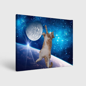 Холст прямоугольный с принтом Кисулькин в космосе в Тюмени, 100% ПВХ |  | астроном пушистый | барсик | звезды | космос | котики | коты