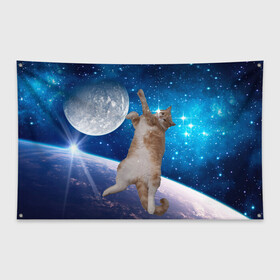 Флаг-баннер с принтом Кисулькин в космосе в Тюмени, 100% полиэстер | размер 67 х 109 см, плотность ткани — 95 г/м2; по краям флага есть четыре люверса для крепления | астроном пушистый | барсик | звезды | космос | котики | коты