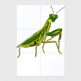 Магнитный плакат 2Х3 с принтом Богомол в Тюмени, Полимерный материал с магнитным слоем | 6 деталей размером 9*9 см | Тематика изображения на принте: animals | insect | mantis | nature | summer | богомол | весна | дикие | животные | жуки | звери | зеленый богомол | клещни | комары | кузнечики | лапки | лето | мухи | насекомое | природа | самка | стрекоза | существа | усики