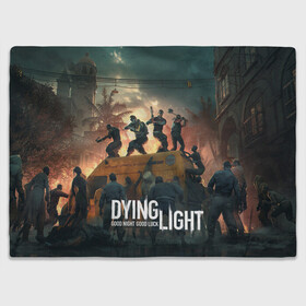 Плед 3D с принтом Dying Light в Тюмени, 100% полиэстер | закругленные углы, все края обработаны. Ткань не мнется и не растягивается | dying light | dying light 2 | game | games | zomby | апокалипсис | даинг лайт | два | дуинг лайт | зомби | зомби апокалипсис | игра | игры