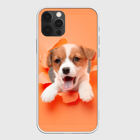 Чехол для iPhone 12 Pro Max с принтом Собака в Тюмени, Силикон |  | dog | барбос | дворняга | друг человека | пёс | псина | собака | собачка | собачонка | четвероногий друг | шарик | щенок