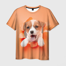 Мужская футболка 3D с принтом Собака в Тюмени, 100% полиэфир | прямой крой, круглый вырез горловины, длина до линии бедер | dog | барбос | дворняга | друг человека | пёс | псина | собака | собачка | собачонка | четвероногий друг | шарик | щенок
