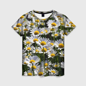 Женская футболка 3D с принтом Ромашки в Тюмени, 100% полиэфир ( синтетическое хлопкоподобное полотно) | прямой крой, круглый вырез горловины, длина до линии бедер | поле | поля | природа | природный | растение | растения | ромашка | ромашки | цветочек | цветочки | цветочное | цветы