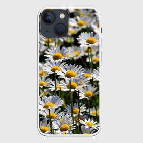 Чехол для iPhone 13 mini с принтом Ромашки в Тюмени,  |  | Тематика изображения на принте: поле | поля | природа | природный | растение | растения | ромашка | ромашки | цветочек | цветочки | цветочное | цветы