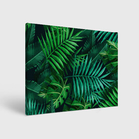Холст прямоугольный с принтом Сочные тропики в Тюмени, 100% ПВХ |  | Тематика изображения на принте: заросли | кусты | лето | листья | пальма | тропики. зелень