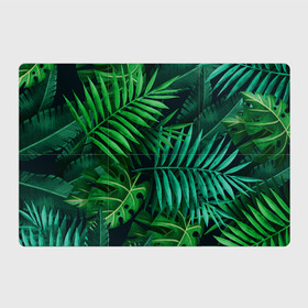 Магнитный плакат 3Х2 с принтом Сочные тропики в Тюмени, Полимерный материал с магнитным слоем | 6 деталей размером 9*9 см | Тематика изображения на принте: заросли | кусты | лето | листья | пальма | тропики. зелень