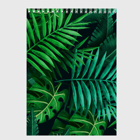 Скетчбук с принтом Сочные тропики в Тюмени, 100% бумага
 | 48 листов, плотность листов — 100 г/м2, плотность картонной обложки — 250 г/м2. Листы скреплены сверху удобной пружинной спиралью | заросли | кусты | лето | листья | пальма | тропики. зелень