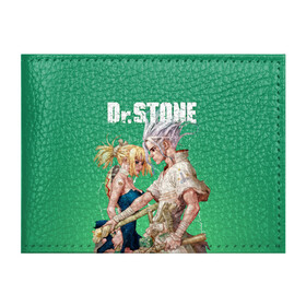 Обложка для студенческого билета с принтом Dr Stone в Тюмени, натуральная кожа | Размер: 11*8 см; Печать на всей внешней стороне | dr. stone | kohaku | senku | taiju | доктор стоун | исигами сэнку | кохаку | сэнку | тайдзю | цукаса
