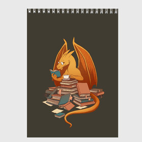 Скетчбук с принтом Book Dragon в Тюмени, 100% бумага
 | 48 листов, плотность листов — 100 г/м2, плотность картонной обложки — 250 г/м2. Листы скреплены сверху удобной пружинной спиралью | book | books | dragon | knowledge | professor | study | tea | wyvern | виверна | дракон | знания | книга | книги | книжный | профессор | чай