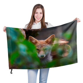 Флаг 3D с принтом Лисичка в Тюмени, 100% полиэстер | плотность ткани — 95 г/м2, размер — 67 х 109 см. Принт наносится с одной стороны | fox | foxy | животное | звери | лиса | лисенок | лисичка | милая | рыжая | фокс