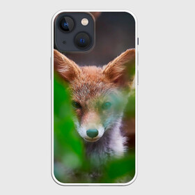 Чехол для iPhone 13 mini с принтом Лисичка в Тюмени,  |  | fox | foxy | животное | звери | лиса | лисенок | лисичка | милая | рыжая | фокс