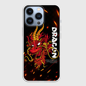 Чехол для iPhone 13 Pro с принтом Dragon Огненный дракон в Тюмени,  |  | Тематика изображения на принте: dragon | fire | дракон | китай | китайский огонь | костер | огонь