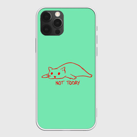 Чехол для iPhone 12 Pro Max с принтом Not Today в Тюмени, Силикон |  | Тематика изображения на принте: nottoday | кот | кошка | не сегодня | отдых | цитаты