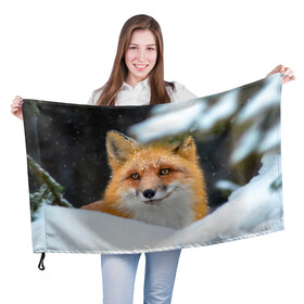 Флаг 3D с принтом Лисичка на сугробе в Тюмени, 100% полиэстер | плотность ткани — 95 г/м2, размер — 67 х 109 см. Принт наносится с одной стороны | fox | foxy | животное | звери | лиса | лисенок | лисичка | милая | рыжая | фокс