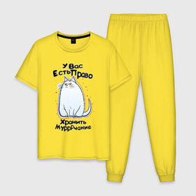Мужская пижама хлопок с принтом Право хранить мурчание в Тюмени, 100% хлопок | брюки и футболка прямого кроя, без карманов, на брюках мягкая резинка на поясе и по низу штанин
 | животные | кот | котейка | надписи | юмор