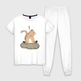 Женская пижама хлопок с принтом Кот в мешке в Тюмени, 100% хлопок | брюки и футболка прямого кроя, без карманов, на брюках мягкая резинка на поясе и по низу штанин | cat | кот в мешке | кот из мема | рыжий котик | удивленный кошак