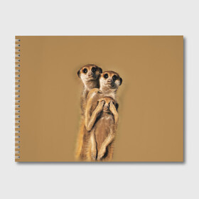 Альбом для рисования с принтом Сурикаты в Тюмени, 100% бумага
 | матовая бумага, плотность 200 мг. | Тематика изображения на принте: животные | прикол | прикольные животные | природа | смешные | смешные животные | сурикат