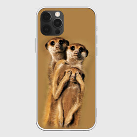 Чехол для iPhone 12 Pro с принтом Сурикаты в Тюмени, силикон | область печати: задняя сторона чехла, без боковых панелей | животные | прикол | прикольные животные | природа | смешные | смешные животные | сурикат
