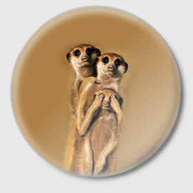 Значок с принтом Сурикаты в Тюмени,  металл | круглая форма, металлическая застежка в виде булавки | животные | прикол | прикольные животные | природа | смешные | смешные животные | сурикат
