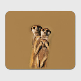 Коврик для мышки прямоугольный с принтом Сурикаты в Тюмени, натуральный каучук | размер 230 х 185 мм; запечатка лицевой стороны | Тематика изображения на принте: животные | прикол | прикольные животные | природа | смешные | смешные животные | сурикат