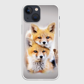Чехол для iPhone 13 mini с принтом Лисята в Тюмени,  |  | детеныши | животные | лиса | лисенок | лисичка | лисята | природа | рыжая