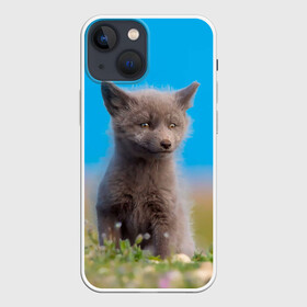 Чехол для iPhone 13 mini с принтом Смешной лисенок в Тюмени,  |  | fox | foxy | животное | звери | лиса | лисенок | лисичка | милая | рыжая | фокс