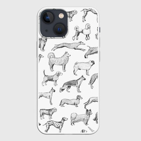 Чехол для iPhone 13 mini с принтом ПОРОДЫ СОБАК С ФОТОГРАФИЯМИ в Тюмени,  |  | бассет | бигль | боксер | борзая | бульдог | далматинец | доберман | дог | колли | лабрадор | милая собака | милые собаки | мопс | овчарка | папийон | пекинес | порода | пудель | сеттер | собака | собаки