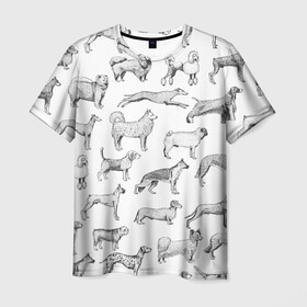 Мужская футболка 3D с принтом ПОРОДЫ СОБАК С ФОТОГРАФИЯМИ в Тюмени, 100% полиэфир | прямой крой, круглый вырез горловины, длина до линии бедер | бассет | бигль | боксер | борзая | бульдог | далматинец | доберман | дог | колли | лабрадор | милая собака | милые собаки | мопс | овчарка | папийон | пекинес | порода | пудель | сеттер | собака | собаки
