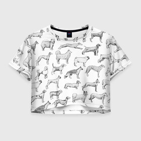 Женская футболка Crop-top 3D с принтом ПОРОДЫ СОБАК С ФОТОГРАФИЯМИ в Тюмени, 100% полиэстер | круглая горловина, длина футболки до линии талии, рукава с отворотами | бассет | бигль | боксер | борзая | бульдог | далматинец | доберман | дог | колли | лабрадор | милая собака | милые собаки | мопс | овчарка | папийон | пекинес | порода | пудель | сеттер | собака | собаки