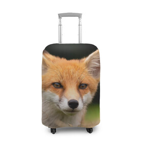 Чехол для чемодана 3D с принтом Мордочка лисицы в Тюмени, 86% полиэфир, 14% спандекс | двустороннее нанесение принта, прорези для ручек и колес | fox | foxy | животное | звери | лиса | лисенок | лисичка | милая | рыжая | фокс
