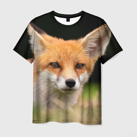 Мужская футболка 3D с принтом Мордочка лисицы в Тюмени, 100% полиэфир | прямой крой, круглый вырез горловины, длина до линии бедер | fox | foxy | животное | звери | лиса | лисенок | лисичка | милая | рыжая | фокс