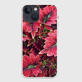 Чехол для iPhone 13 mini с принтом Красные листья в Тюмени,  |  | алый | красные листья | листопад | листья | осень | пурпурный | растение | текстуры | узор | экзотически растения