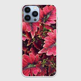 Чехол для iPhone 13 Pro Max с принтом Красные листья в Тюмени,  |  | алый | красные листья | листопад | листья | осень | пурпурный | растение | текстуры | узор | экзотически растения