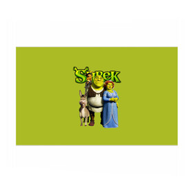 Бумага для упаковки 3D с принтом Шрек/Shrek в Тюмени, пластик и полированная сталь | круглая форма, металлическое крепление в виде кольца | cartoon | fiona | shrek | болото | детям | комедия | кот в сапогах | мультик | огр | осел | персонажи мультфильмов | тролль | фиона | шрек
