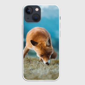 Чехол для iPhone 13 mini с принтом Милая лисичка в Тюмени,  |  | fox | foxy | животное | звери | лиса | лисенок | лисичка | милая | рыжая | фокс