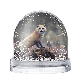 Снежный шар с принтом Лисица и птичка в Тюмени, Пластик | Изображение внутри шара печатается на глянцевой фотобумаге с двух сторон | fox | foxy | животное | звери | лиса | лисенок | лисичка | милая | рыжая | фокс