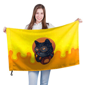 Флаг 3D с принтом D.j Cat Кот диджей в Тюмени, 100% полиэстер | плотность ткани — 95 г/м2, размер — 67 х 109 см. Принт наносится с одной стороны | диджей | кот | кот диджей | котенок | котик | кошка | музыка | музыкант | наушники | техно | электроника
