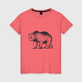 Женская футболка хлопок с принтом Медведь Гризли | Grizzly Bear в Тюмени, 100% хлопок | прямой крой, круглый вырез горловины, длина до линии бедер, слегка спущенное плечо | alaska | american bear | art | bears | canada | illustration | united states | ursus | usa | аляска | американский медведь | арт | бурый медведь | бурый мишка | иллюстрация | канада | косолапый | медвежонок | мишка | потапыч | рисунок