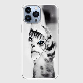 Чехол для iPhone 13 Pro Max с принтом МИЛЫЙ КОТЕНОК  CUTE KITTEN в Тюмени,  |  | животные | кот | котенок | котеночек | кошка | милый