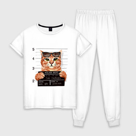 Женская пижама хлопок с принтом РУТОЙ КОТ В ОЧКАХ ЗАКЛЮЧЕННЫЙ в Тюмени, 100% хлопок | брюки и футболка прямого кроя, без карманов, на брюках мягкая резинка на поясе и по низу штанин | cat | cats | cool | cute | funny | kitten | kitty | meow | pet | prisoner | в очках | заключенный | кот | котик | коты | кошка | кошки | милый