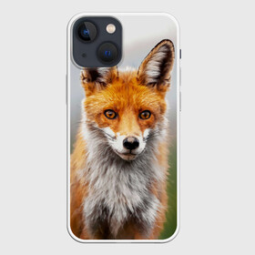 Чехол для iPhone 13 mini с принтом рыжая лисица в Тюмени,  |  | fox | foxy | животное | звери | лиса | лисенок | лисичка | милая | рыжая | фокс